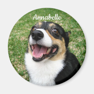 Aimant Votre photo personnalisée pour animaux de compagni