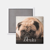 Aimant Votre photo préférée pour animal de compagnie (Recto/Verso)