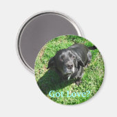 Aimant Vous avez de l'amour ? (Recto/Verso)