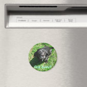 Aimant Vous avez de l'amour ? (In Situ (Lave-vaisselle))