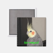 Aimant Vous avez des craquelins ? (Recto/Verso)