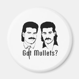 Aimant Vous avez des Mullets ?