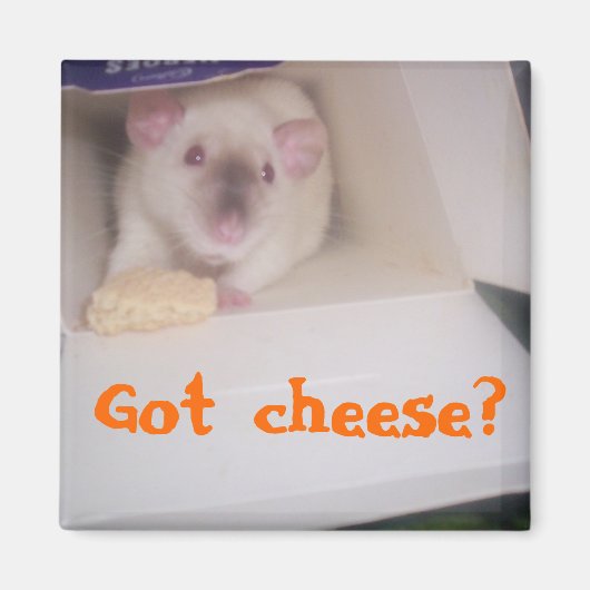 Aimant Vous avez du fromage ? (Devant)