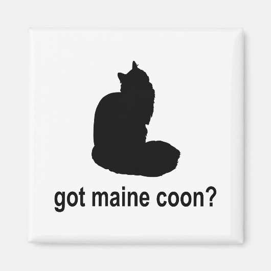 Aimant Vous avez Maine Coon ? (Devant)