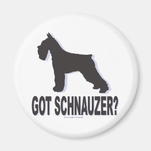 Aimant Vous avez Schnauzer ?