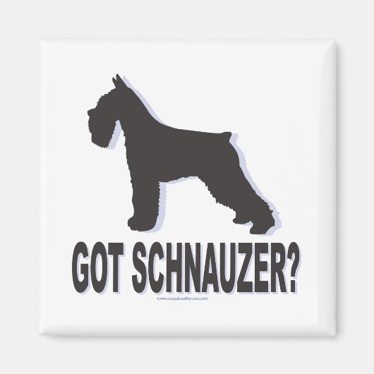 Aimant Vous avez Schnauzer ? (Devant)