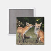 Aimant Vous Avez Une Menthe ? (Recto/Verso)