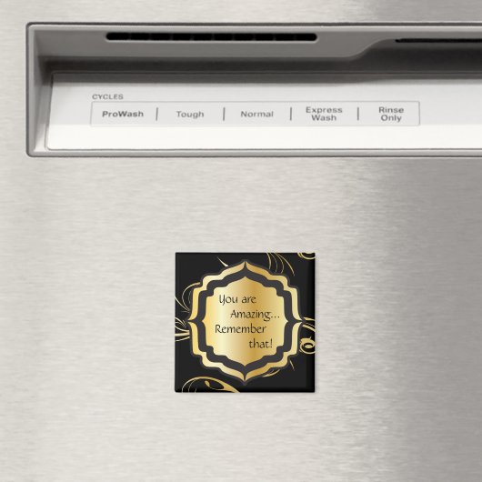 Aimant Vous êtes Extraordinaire (In Situ (Lave-vaisselle))