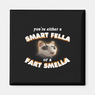 Aimant Vous Êtes Une Fella Intelligente Ou Un Fart Smella