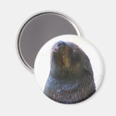 Aimant Vous me regardez ! (Recto/Verso)