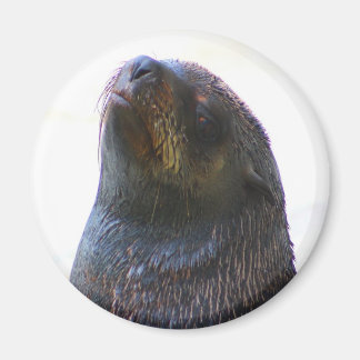 Aimant Vous me regardez !