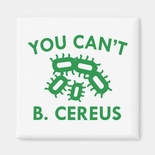 Aimant Vous ne pouvez pas B. Cereus