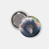 Aimant Voyage du bébé chimpanzé (Recto/Verso)