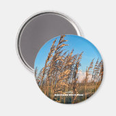 Aimant Voyage | Floride - Anastasia St Park Sea Oats (Recto/Verso)