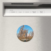 Aimant Voyage | Floride - Anastasia St Park Sea Oats (In Situ (Lave-vaisselle))