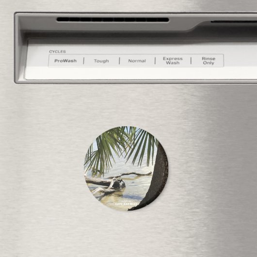 Aimant Voyage | Floride - Cape San Blas Driftwood Beach (In Situ (Lave-vaisselle))