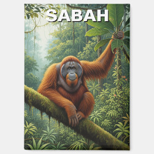 Aimant Voyage Sabah Malaisie Orang-outan