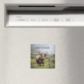 Aimant Voyage Vache de Montagne des Asturies (In Situ (Lave-vaisselle))