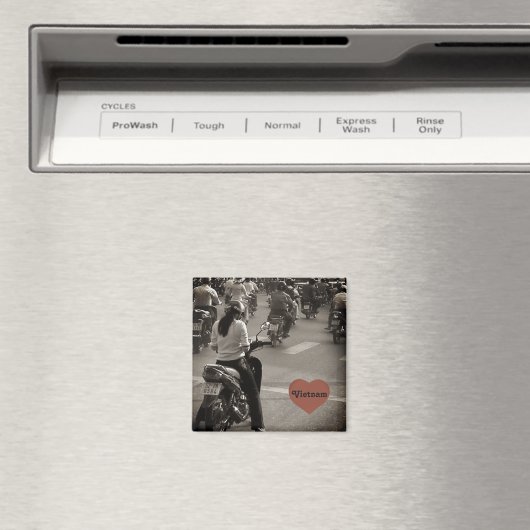 Aimant VTT Vietnam (In Situ (Lave-vaisselle))