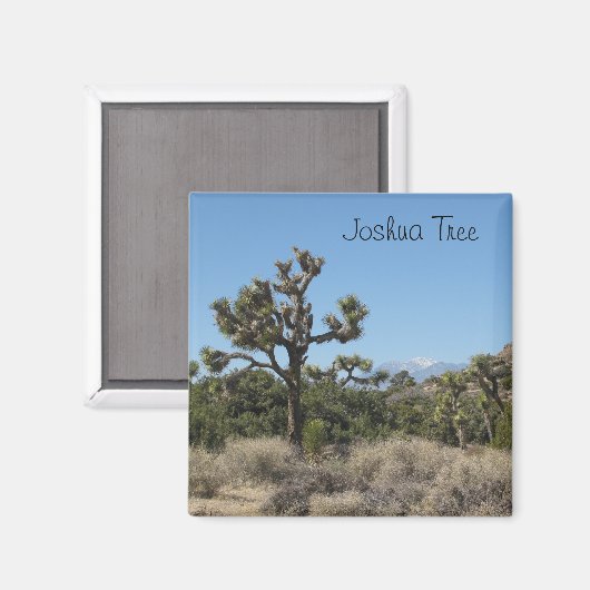 Aimant Vue Arborescence Joshua (Recto/Verso)