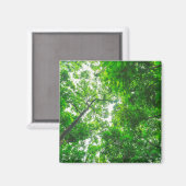 Aimant Vue ascendante d'arbres (Recto/Verso)
