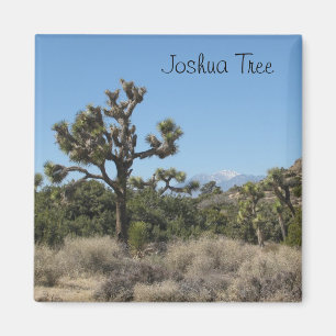 Aimant Vue d'arbre de Joshua
