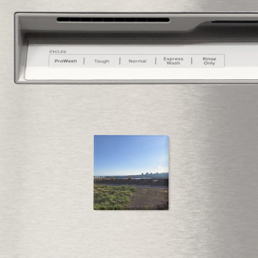 Aimant Vue de Castaways Park, Newport Beach, CA (In Situ (Lave-vaisselle))