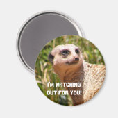 Aimant Vue de Meerkat (Recto/Verso)