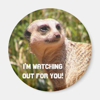 Aimant Vue de Meerkat