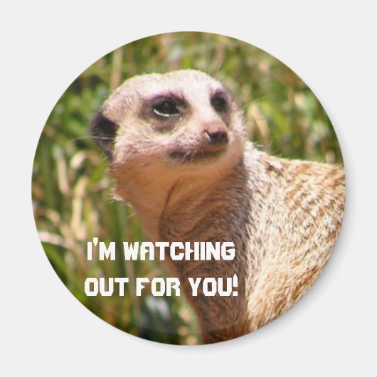 Aimant Vue de Meerkat (Devant)