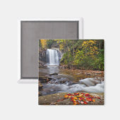 Aimant Vue Glass Falls Pisgah Forêt nationale (Recto/Verso)