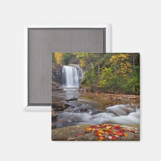Aimant Vue Glass Falls Pisgah Forêt nationale (Recto/Verso)