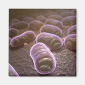 Aimant Vue microscopique des bactéries (Devant)