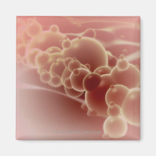 Aimant Vue microscopique des microsphères de latex