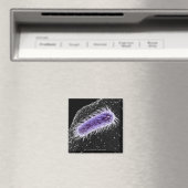 Aimant Vue microscopique d'une cellule hélicobacter pylor (In Situ (Lave-vaisselle))