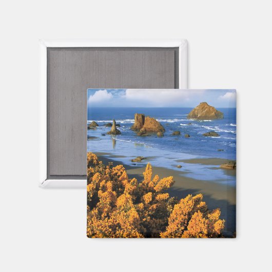 Aimant Vue Plage De L'Oregon À Bandon (Recto/Verso)