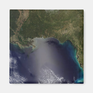 Aimant Vue satellite de l'état uni du sud-est 2