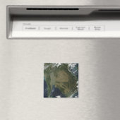 Aimant Vue satellite de l'Indochine (In Situ (Lave-vaisselle))