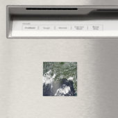 Aimant Vue satellite du golfe du Mexique (In Situ (Lave-vaisselle))