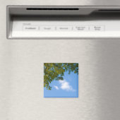 Aimant vue sur le ciel avec le sommet de l'arbre (In Situ (Lave-vaisselle))