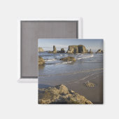 Aimant Vue sur le littoral, Bandon, Oregon (Recto/Verso)