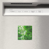 Aimant Vue vers le haut des arbres (In Situ (Lave-vaisselle))