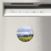 AIMANT VUES DES ALLES (In Situ (Lave-vaisselle))