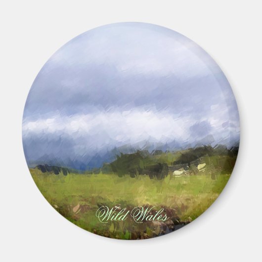 AIMANT VUES DES ALLES (Devant)