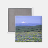 Aimant WA, comté de Klickitat, Dalles Mountain Ranch, (Recto/Verso)