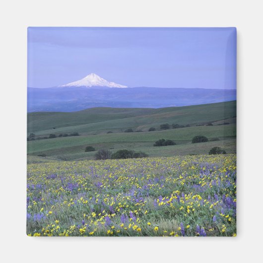 Aimant WA, comté de Klickitat, Dalles Mountain Ranch, (Devant)