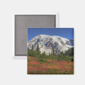 Aimant WA, Parc national du Mont-Rainier, Vallée du Parad (Recto/Verso)