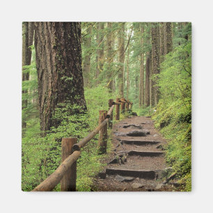 Aimant WA, parc national Olympique, vallée de Sol Duc, fo