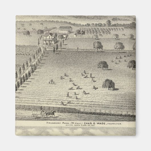 Aimant Wade ranch, résidence Weller (Devant)