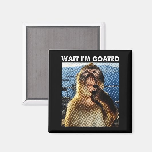 Aimant Wait I'm Goated Funny Thinking Monkey Meme Brainro (Recto/Verso)
